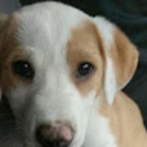 Meet your Posher, Ann